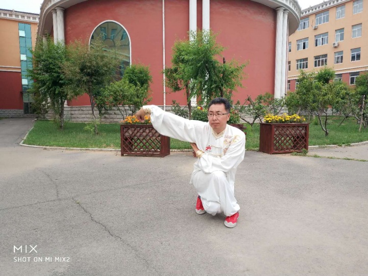 渤海大学（锦州师范学院）1988年级少北武术传人刘天辉简介(图13)
